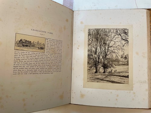 Lot 288 - SUMNER (Heywood)