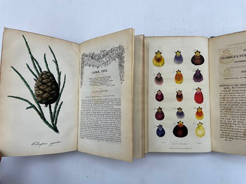 Lot 192 - Botanical plates.