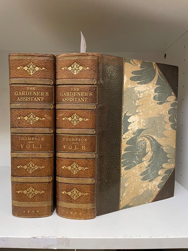 Lot 289 - THOMPSON (R)