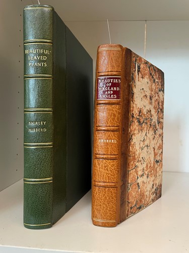 Lot 306 - HIBBERD (Shirley)