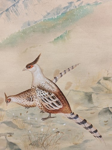 Lot 456 - A Pair Of Nepalese (?) Bird Watercolours