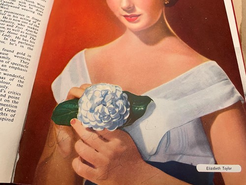 Lot 379 - 'Preview 1951'
