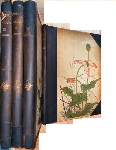 Lot 321 - BING (S)