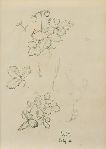 Lot 297 - Eliot Hodgkin (1905-1987)
