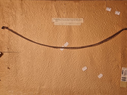 Lot 410 - Louis Reckelbus (1864-1958)