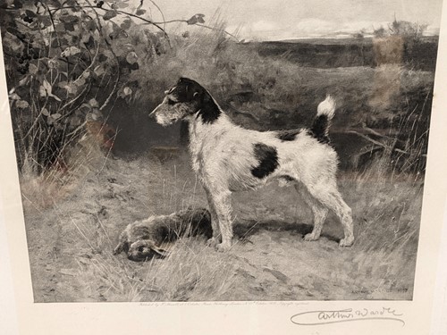 Lot 250 - Arthur Wardle (British. 1860-1949)