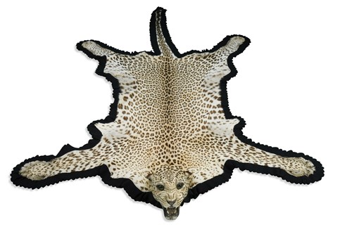 Lot 655 - A leopard skin rug with full mount head by Van Ingen & Van Ingen of Mysore, 1930s