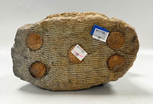 Lot 136 - Colleen Madamombe (1964-2009), Gesticulating figure