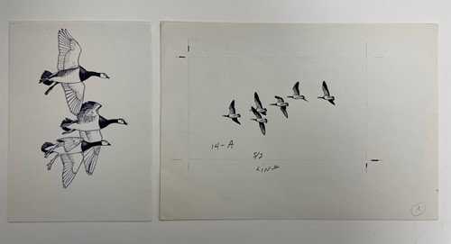 Lot 266 - Sir Peter Markham Scott  CH CBE FRS (British, 1909-1989)