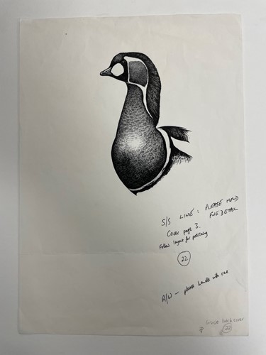 Lot 266 - Sir Peter Markham Scott  CH CBE FRS (British, 1909-1989)