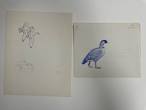 Lot 266 - Sir Peter Markham Scott  CH CBE FRS (British, 1909-1989)