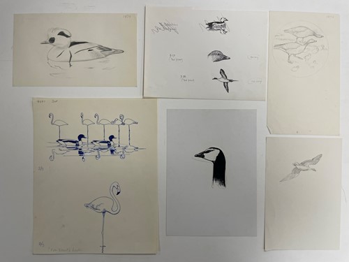 Lot 266 - Sir Peter Markham Scott  CH CBE FRS (British, 1909-1989)