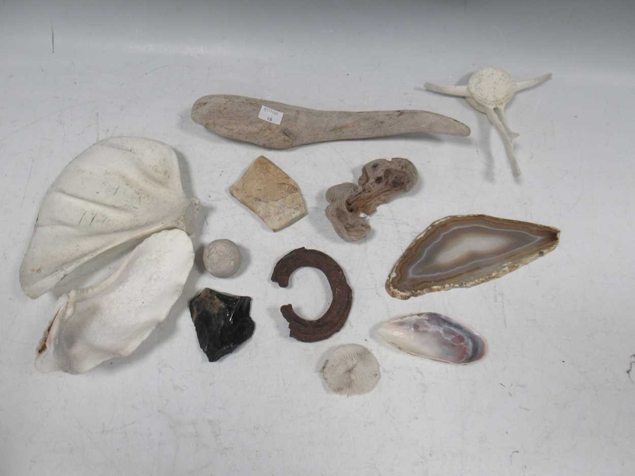Lot 94 - A large collection of fossils and similar to