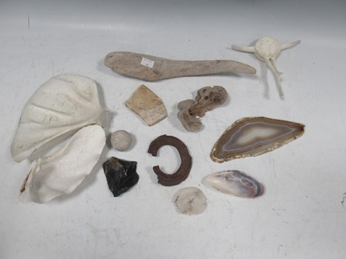 Lot 96 - A large collection of fossils and similar to...