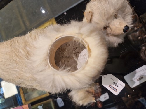 Lot 190 - A Spitz or Samoyed toy, possibly German, early 20th century