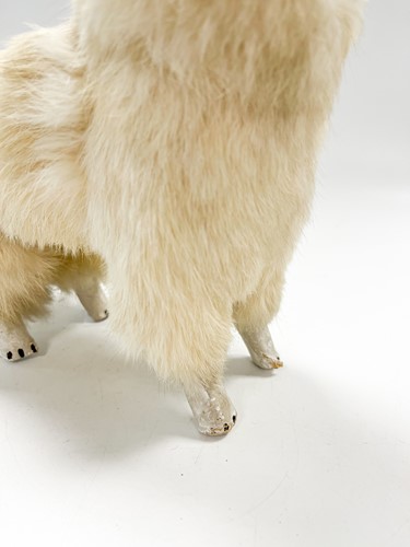 Lot 190 - A Spitz or Samoyed toy, possibly German, early 20th century