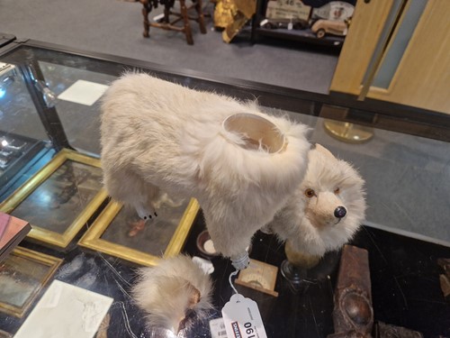 Lot 190 - A Spitz or Samoyed toy, possibly German, early 20th century