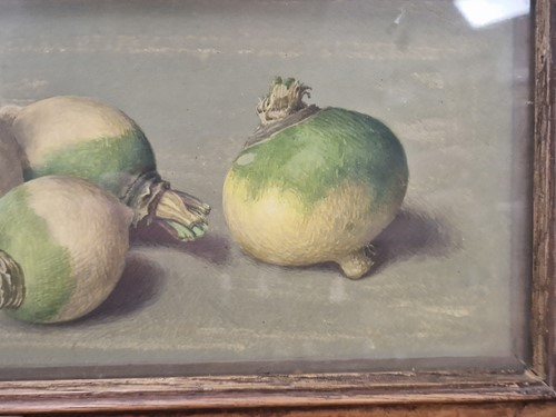 Lot 489 - Eliot Hodgkin (1905-1987)