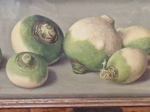 Lot 489 - Eliot Hodgkin (1905-1987)