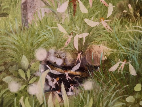 Lot 594 - Richard Adams (1960-)