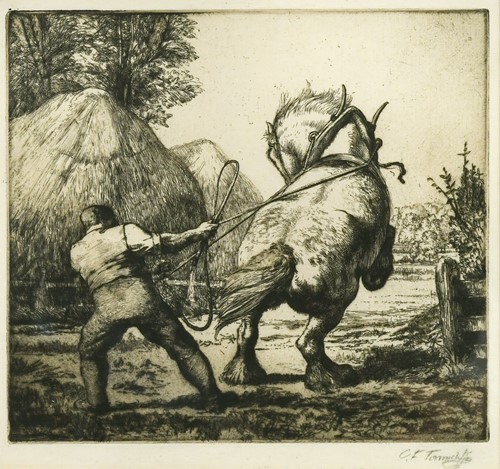 Lot 605 - Charles Frederick Tunnicliffe OBE RA (British, 1901-1979)
