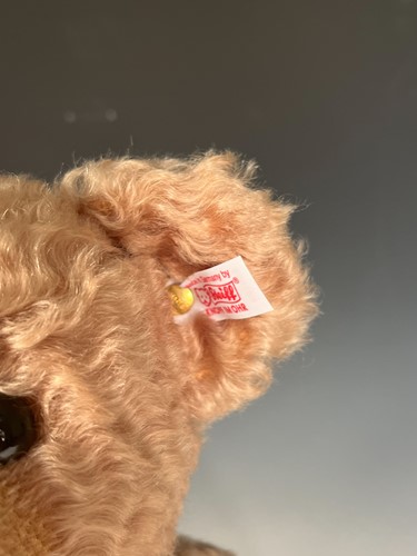 Lot 126 - Steiff, Little Max, EAN 668289