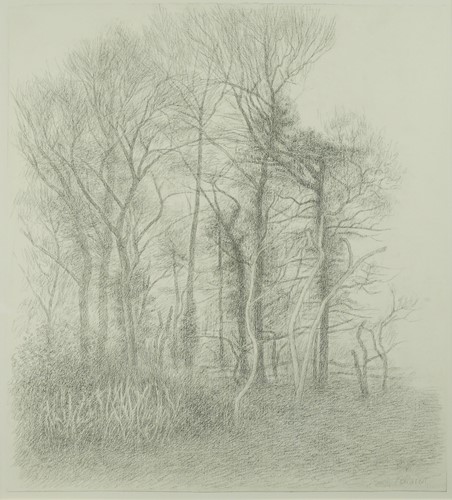 Lot 434 - Elisabeth Vellacott (1905-2002)