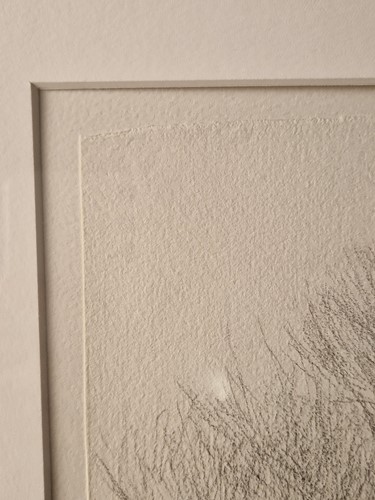 Lot 434 - Elisabeth Vellacott (1905-2002)