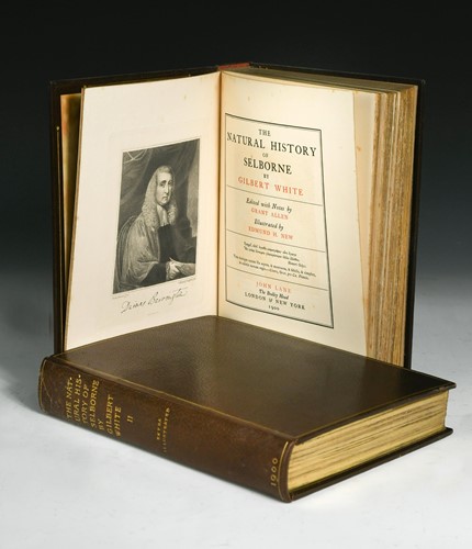 Lot 278 - WHITE (Gilbert)