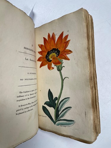 Lot 200 - MORIARTY (Henrietta Maria)