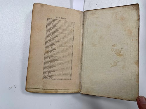Lot 200 - MORIARTY (Henrietta Maria)