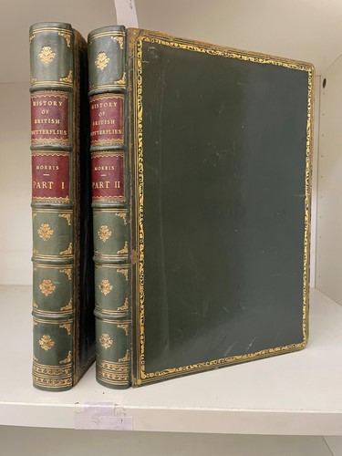 Lot 294 - MORRIS (Rev. F O)