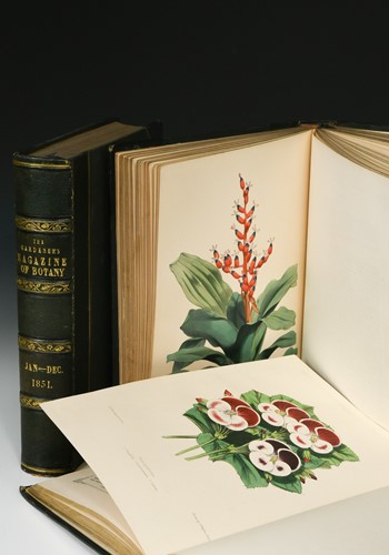 Lot 203 - MOORE (Thomas) & William P AYRES.