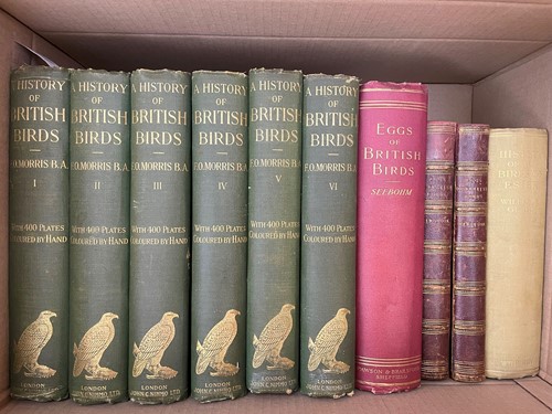 Lot 400 - Birds. MORRIS (Rev. F O)