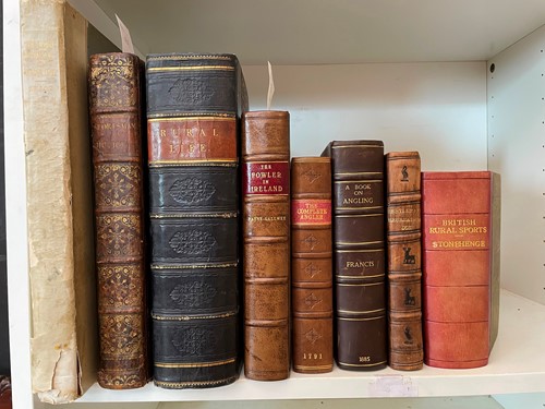 Lot 251 - Country Pursuits.