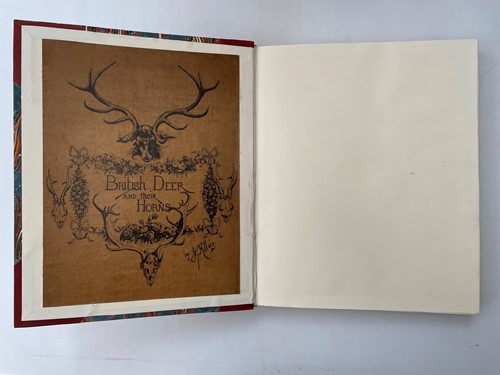 Lot 318 - Natural History.
