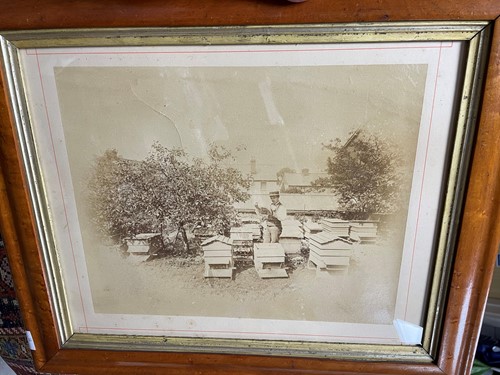 Lot 330 - ROBINSON (J F)