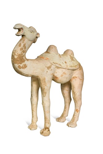 Lot 6 - A Chinese terracotta Bactrian camel, Tang Dynasty or later