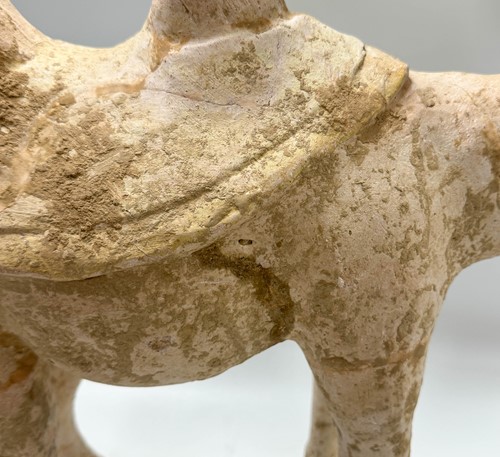 Lot 6 - A Chinese terracotta Bactrian camel, Tang Dynasty or later