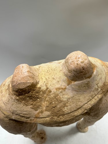 Lot 6 - A Chinese terracotta Bactrian camel, Tang Dynasty or later