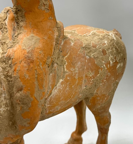 Lot 5 - Two Chinese terracotta horses with female riders, Tang Dynasty or later