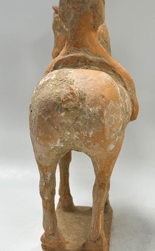 Lot 5 - Two Chinese terracotta horses with female riders, Tang Dynasty or later