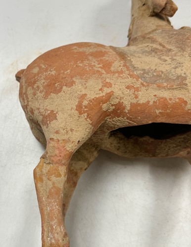 Lot 5 - Two Chinese terracotta horses with female riders, Tang Dynasty or later