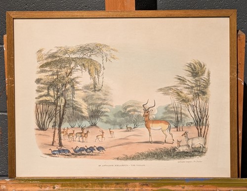 Lot 429 - Captain William Cornwallis Harris