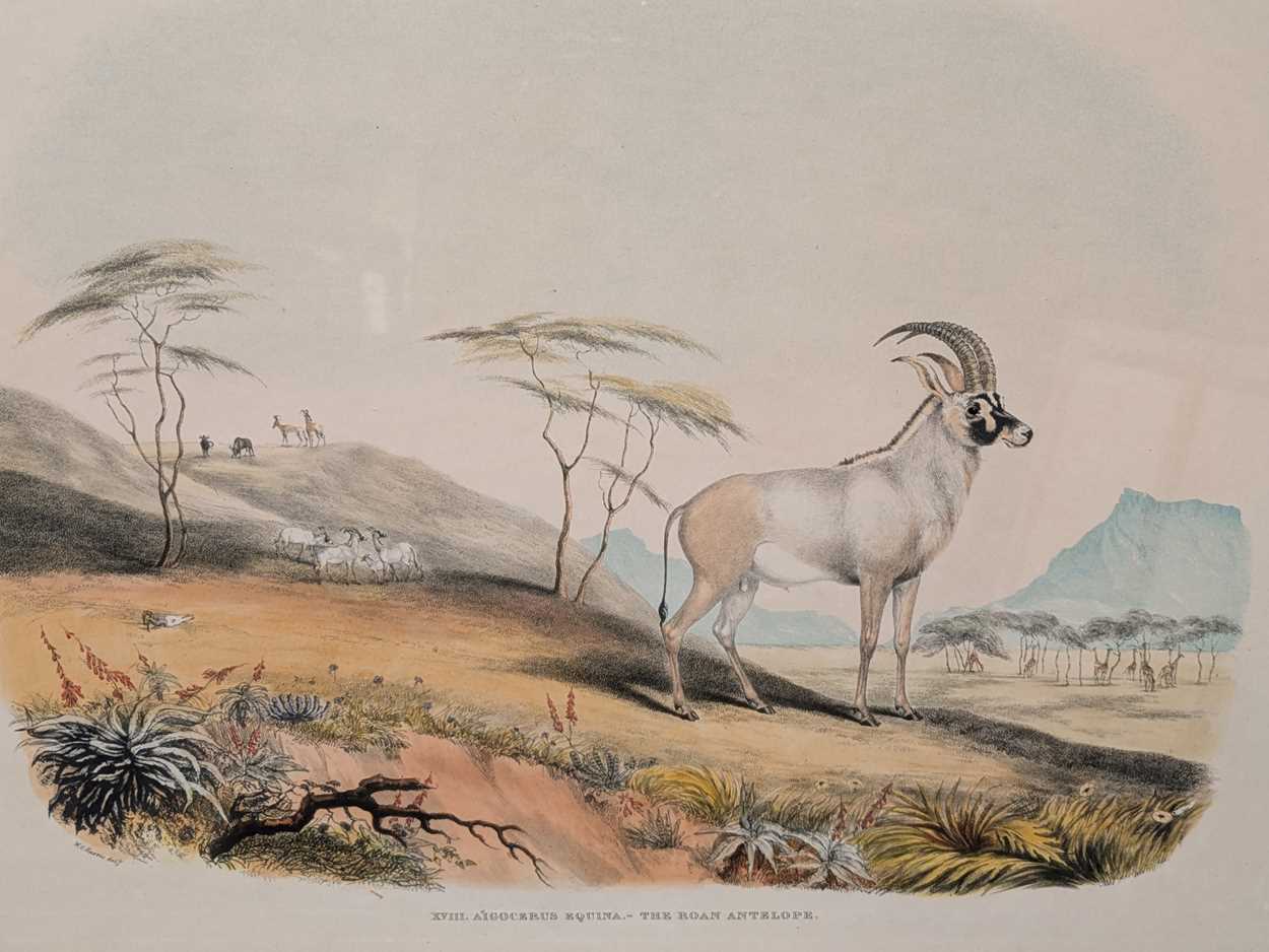 Lot 429 - Captain William Cornwallis Harris