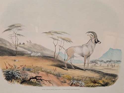 Lot 429 - Captain William Cornwallis Harris
