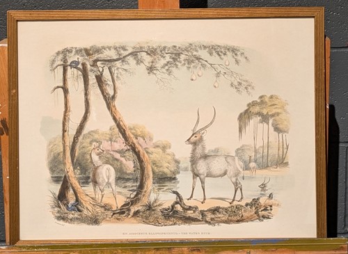 Lot 429 - Captain William Cornwallis Harris