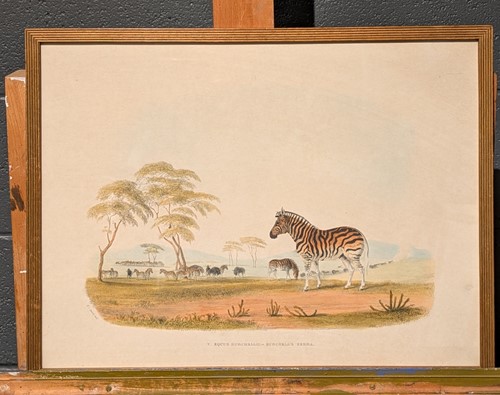 Lot 429 - Captain William Cornwallis Harris