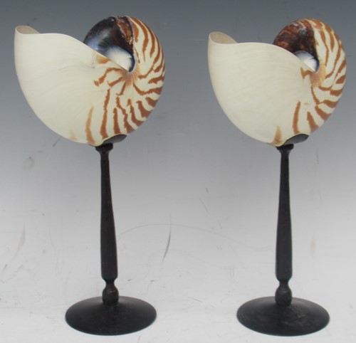 Lot 16 - A pair of Nautilus shells mounted on metal...