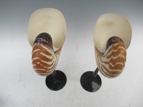Lot 16 - A pair of Nautilus shells mounted on metal...